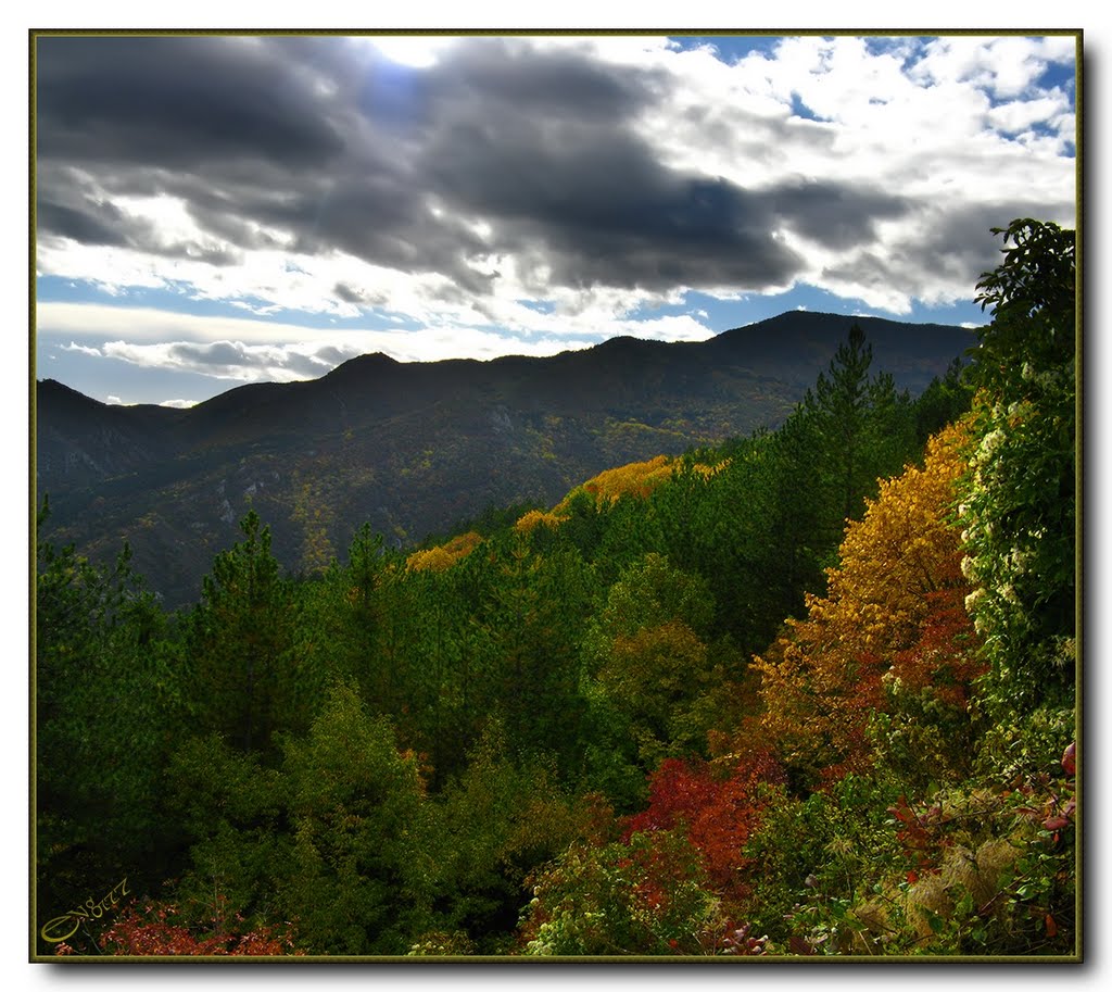 Autumn in the Rhodopes / Есен в Родопите