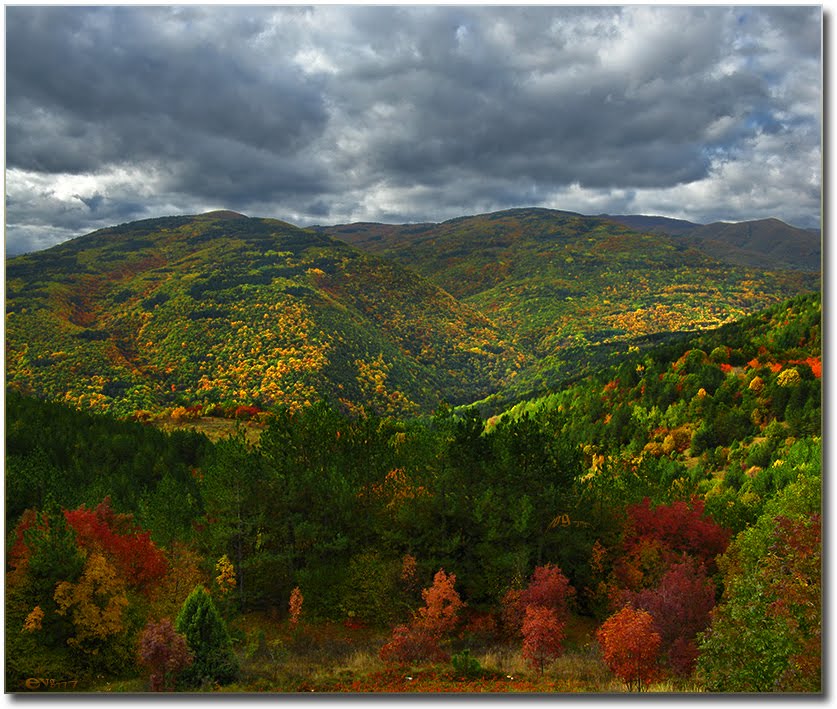 Autumn in the Rhodopes / Есен в Родопите