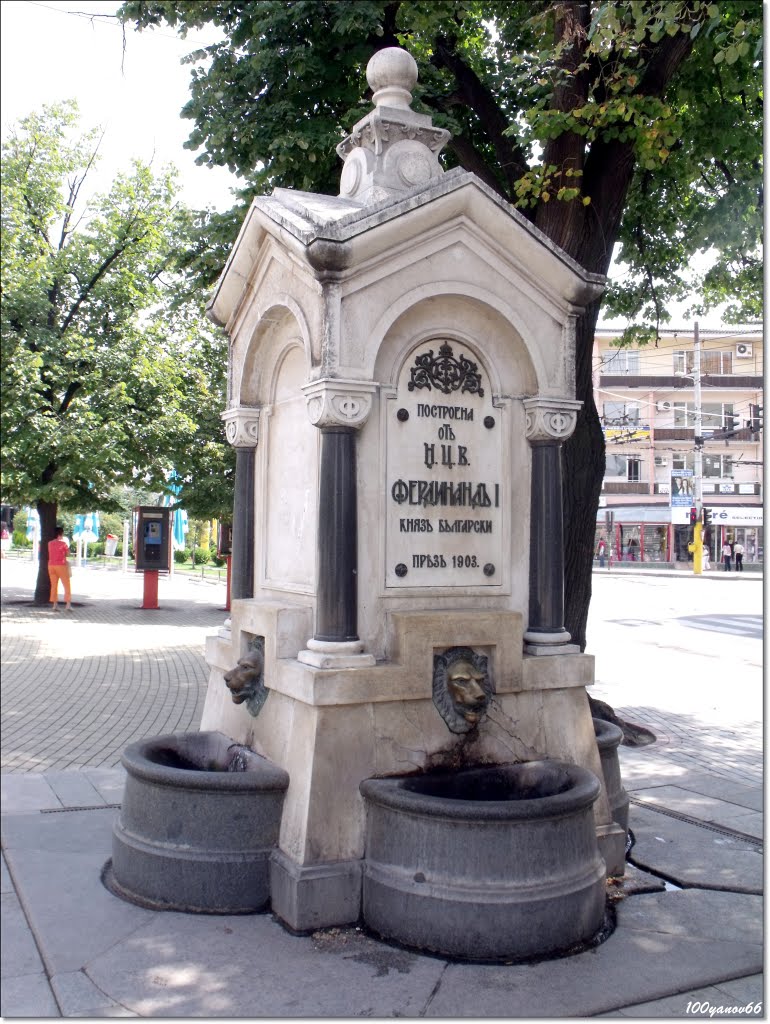 Drinking fountain / Лъвовата чешма
