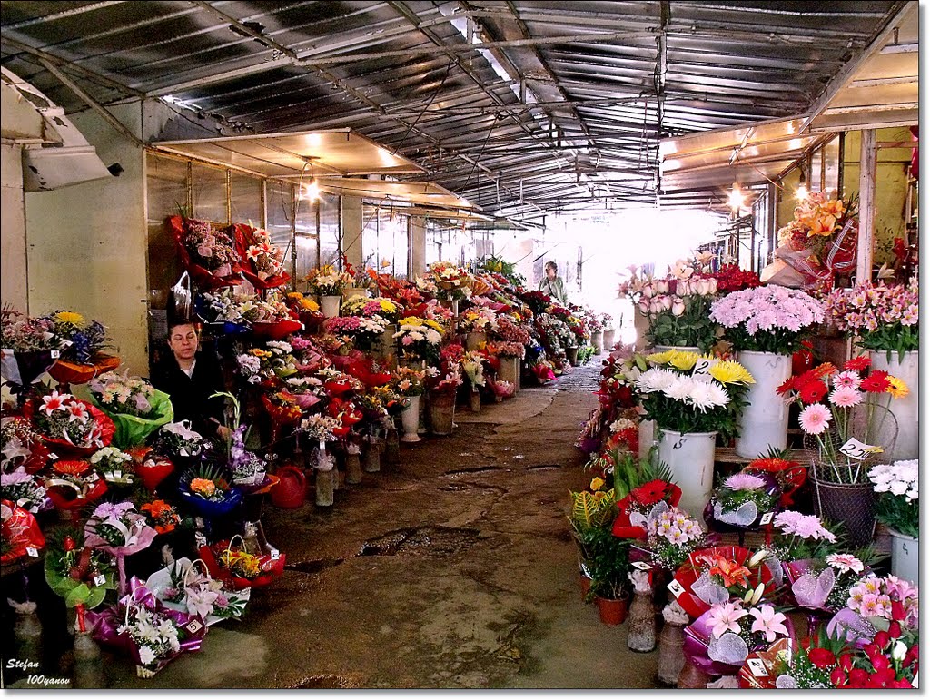 Flower market / Пазара за цветя