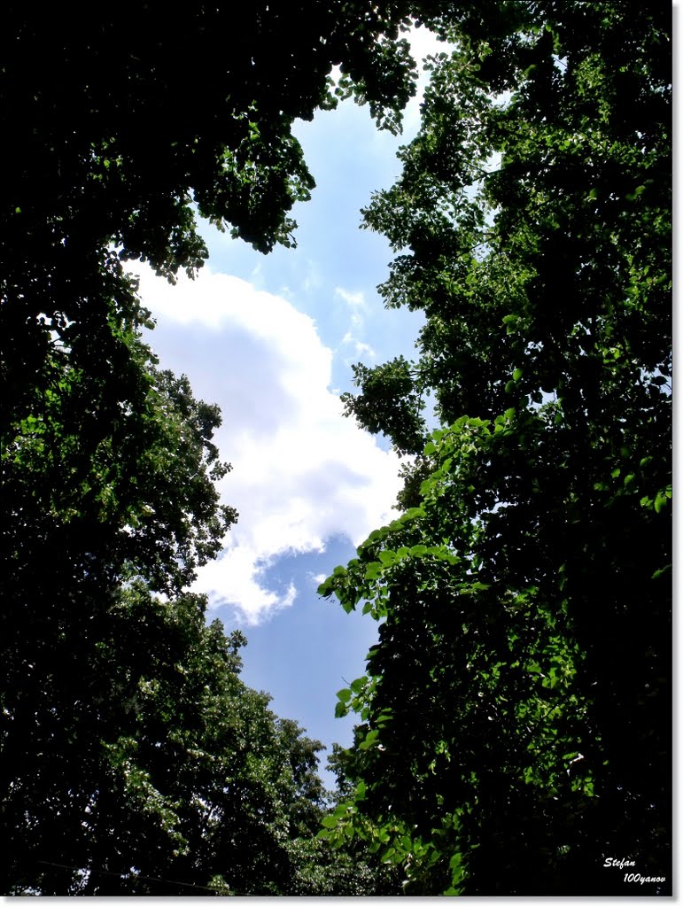 Piece of sky / Късче небе