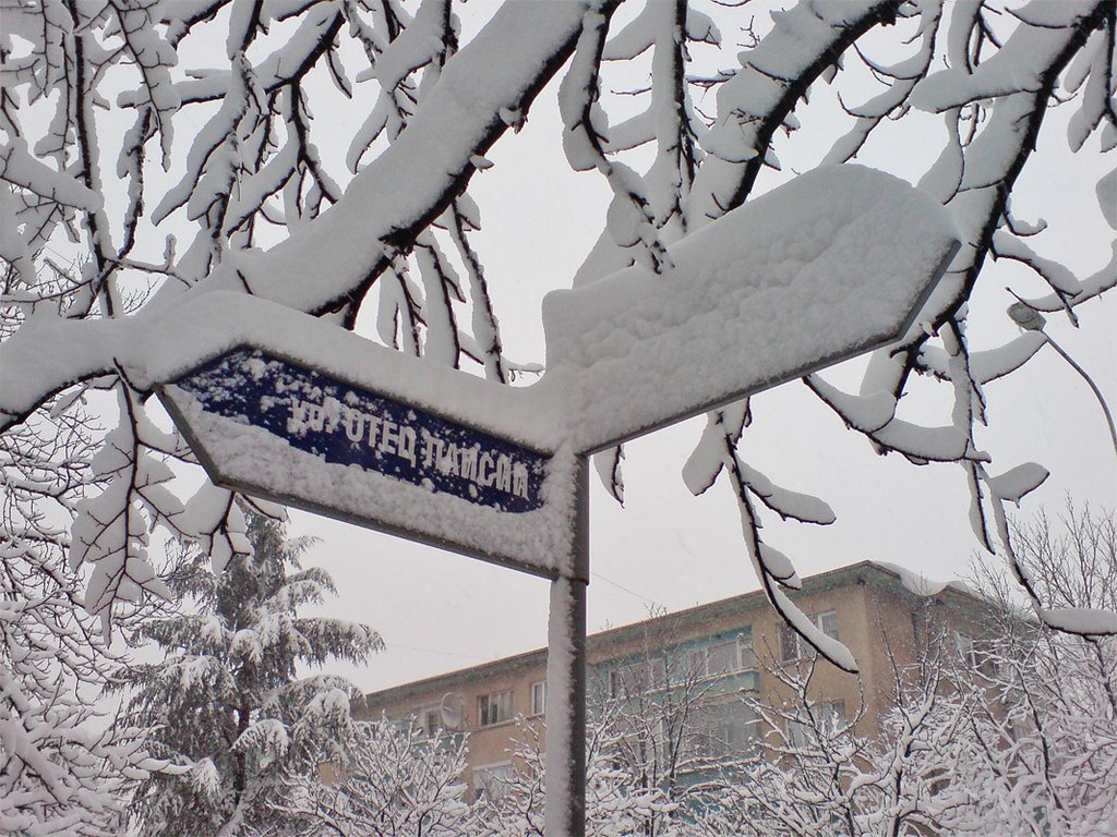 Winter in Dimitrovgrad