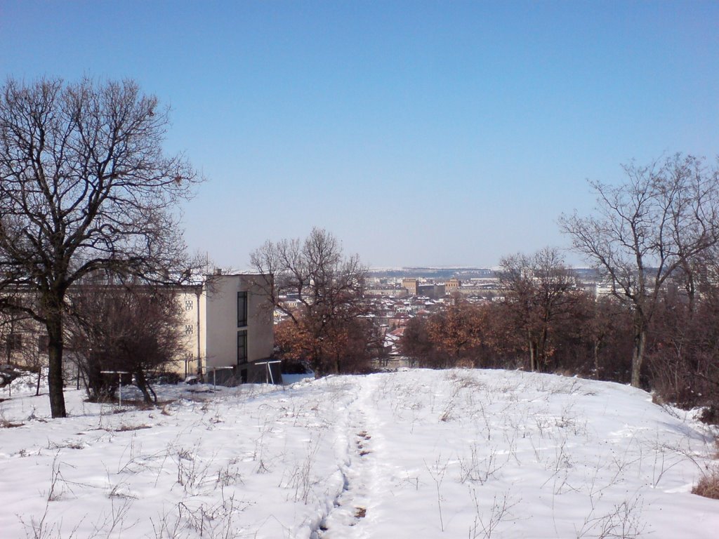 Dimitrovgrad / Изглед от парк П. Пенев