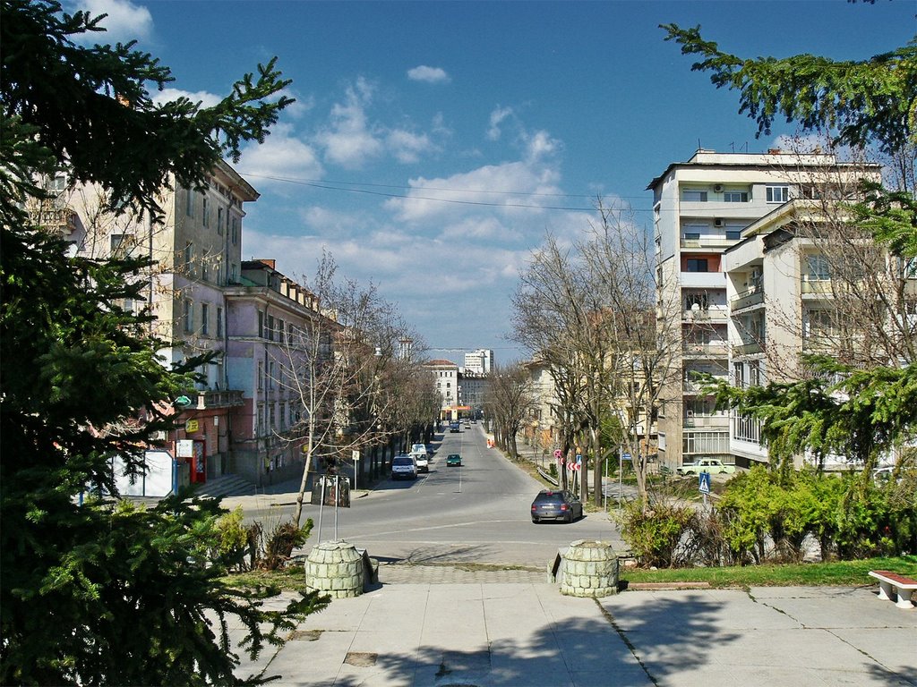 Dimitrovgrad