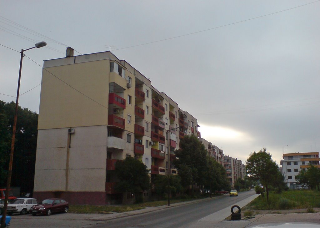 Town of Dimitrovgrad