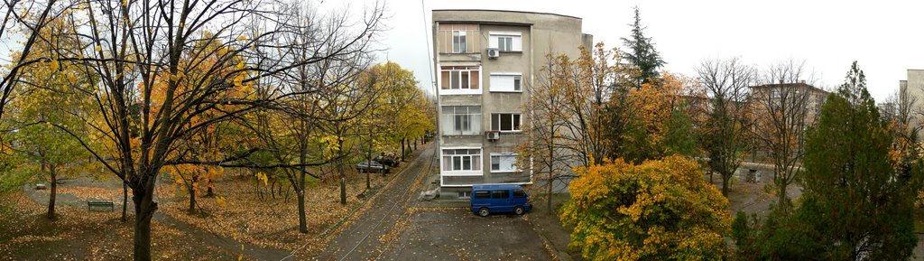 Dimitrovgrad