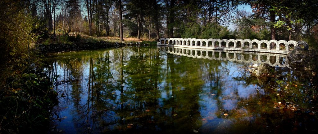 P. Penev park / Dimitrovgrad