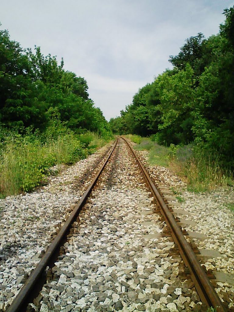29.05.2010 KAYACIK  TİREN YOLU