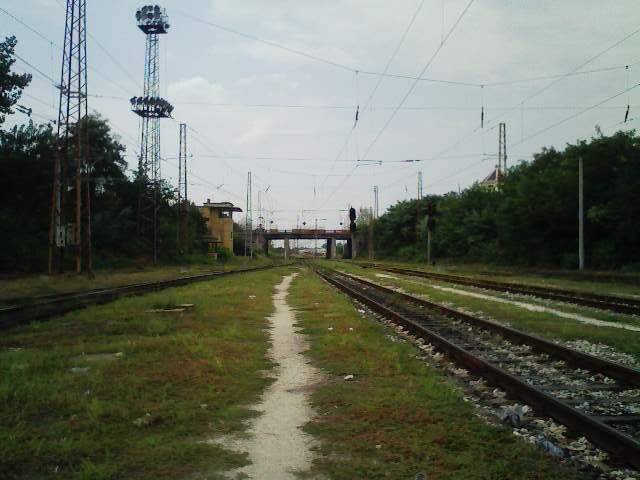 KAYACIK TREN YOLU