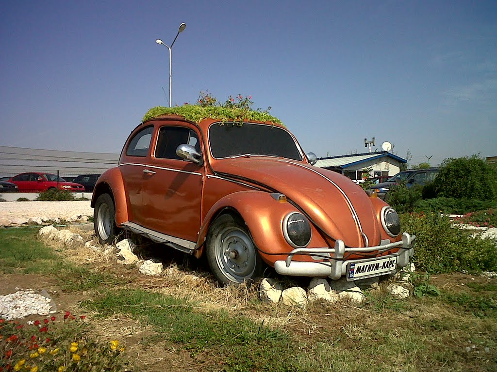 Градинка върху Фолксваген / Garden on Volkswagen
