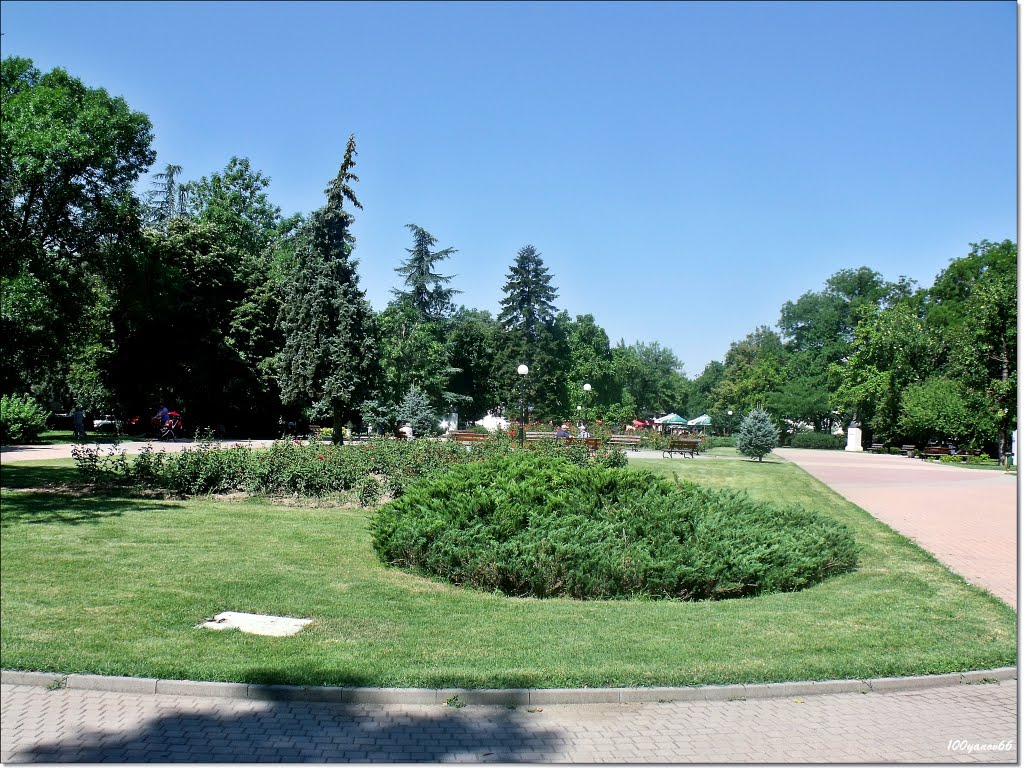 City park / Градския парк