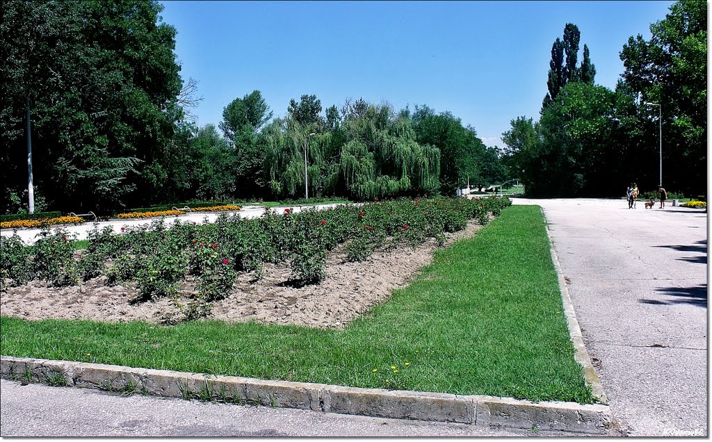 Park "Maritsa" / Парк "Марица"