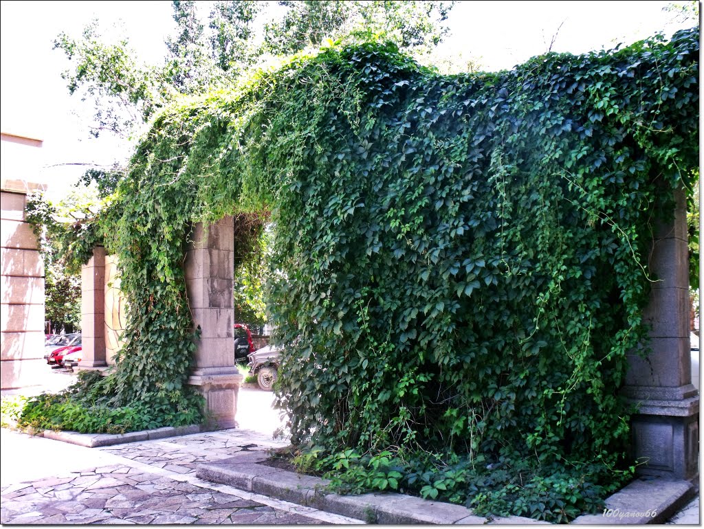 Green arch / Зелена арка