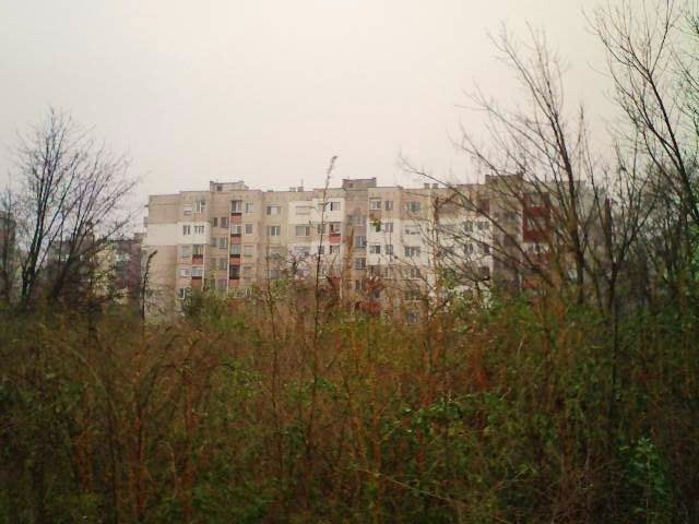 KAYACIK