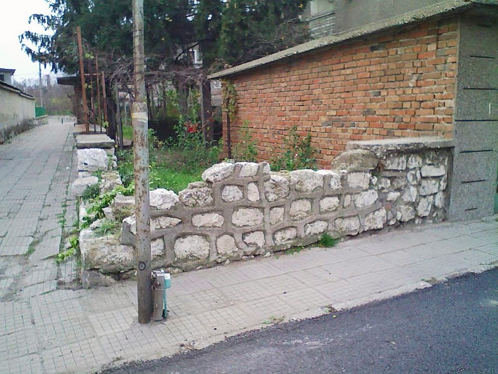 KAYACIK 2010