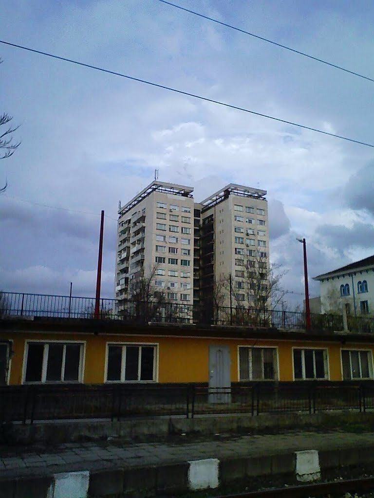KAYACIK EKİZLER 2010