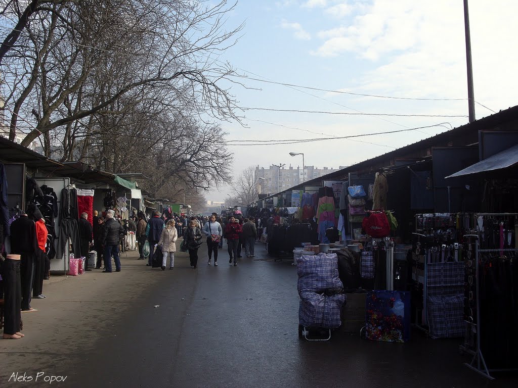 Bulgaria - Dimitrovgrad - Димитровград - Пазара