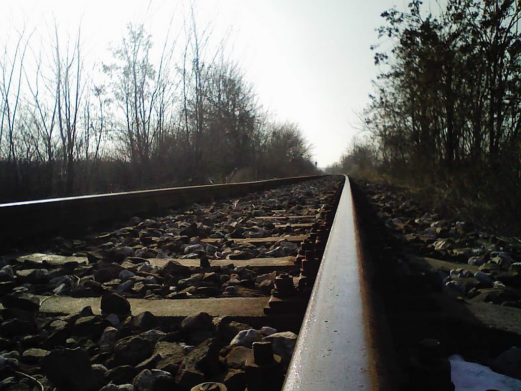 KAYACIK TREN YOLU 2011
