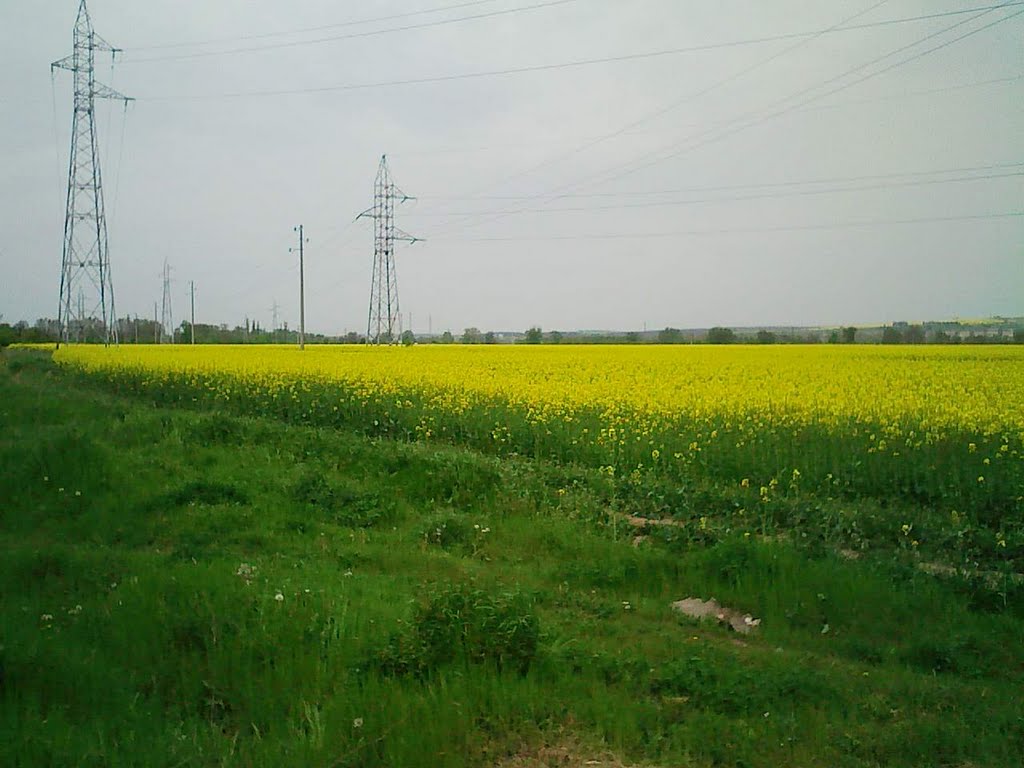KAYACIK 2011