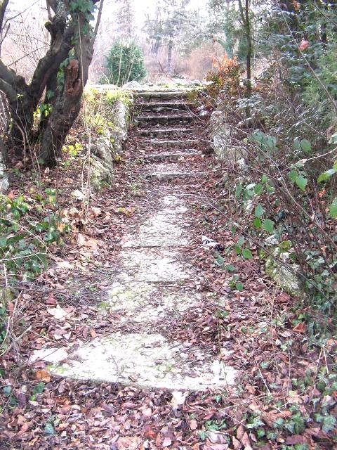 starecase to a lake - penio penev park