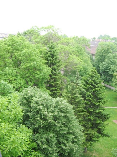 late spring