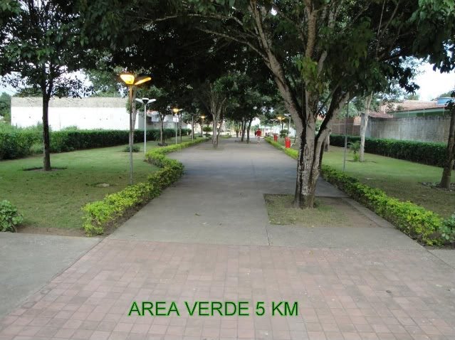 area verde