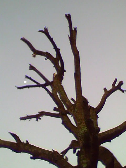 fim de tarde
