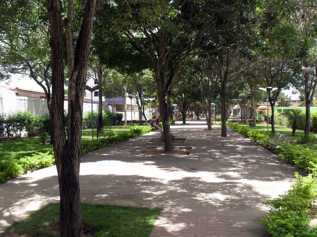 Área Verde Ceci Cunha - Arapiraca - AL