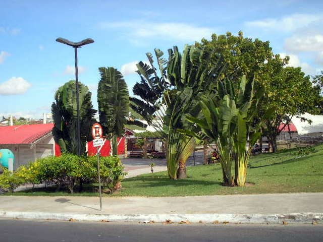Parque Ceci Cunha, Arapiraca
