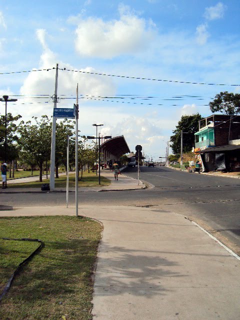 Rua Delmiro Gouveia, Arapiraca