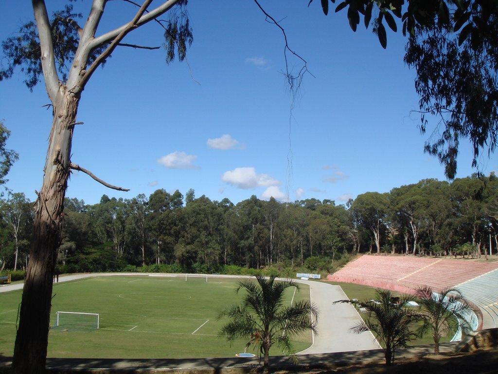 Estádio Lomantão.