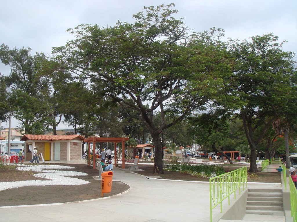 Hercílio, S. Vicente.