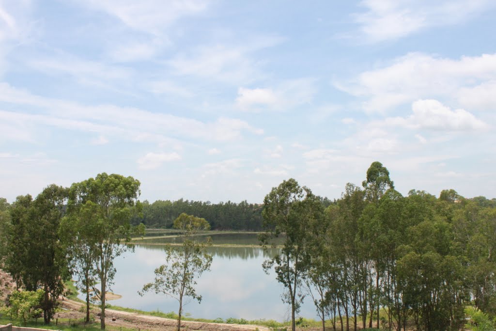 Parque da Cidade (futuro)
