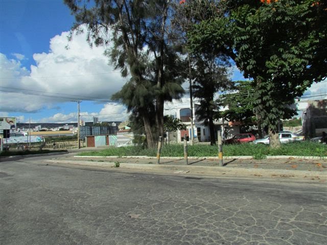 Canteiro e árvores