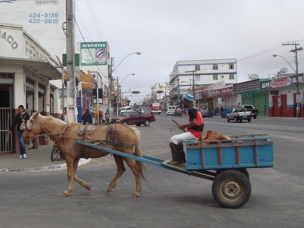 Transporte colonial