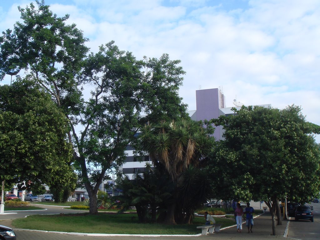 Praça do Gil, o verde.