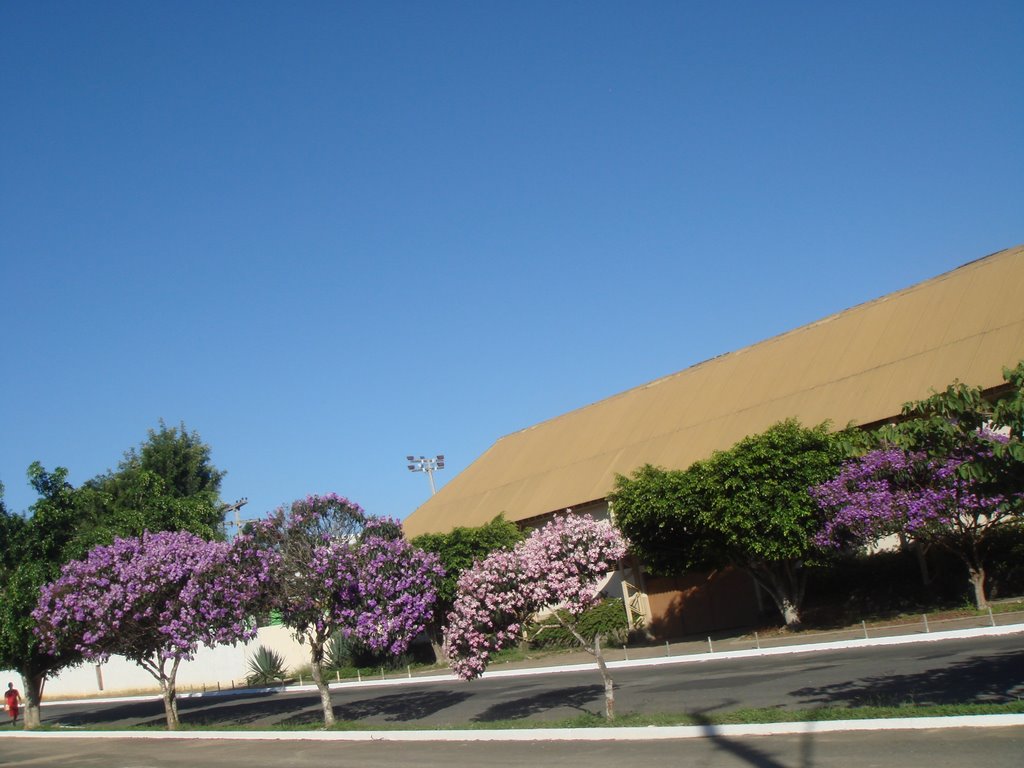 Flores na Rosa Cruz