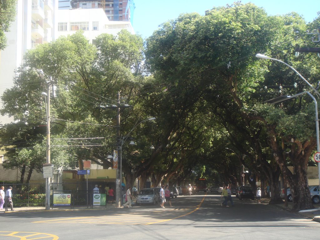 Corredor da Vitória.