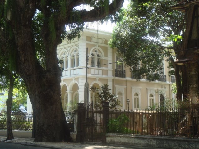 Casa do Vitória, leão e mangueira.