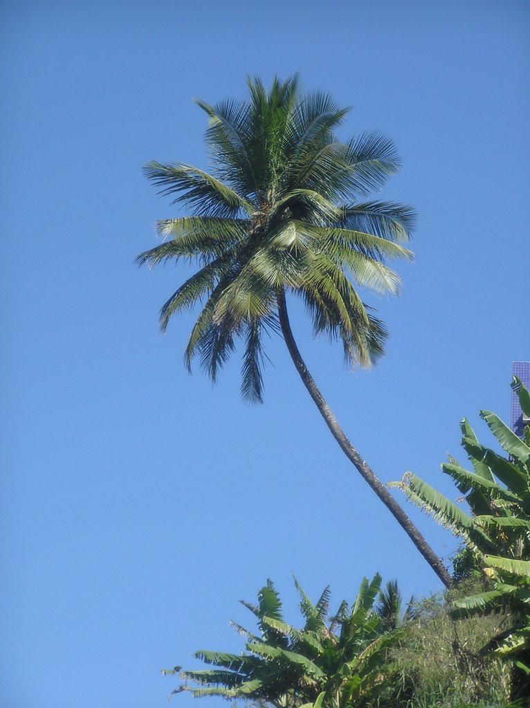 Salvador - BA - BR
