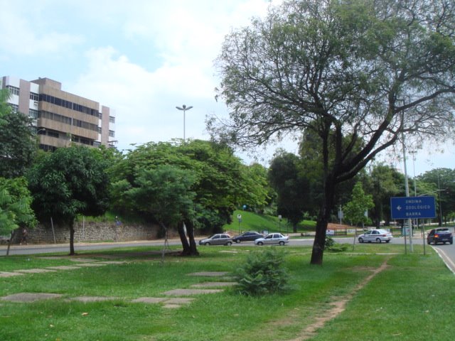 Av. Anita Garibalbi