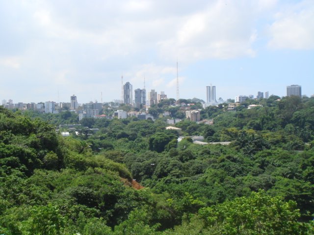 UFBa e Zoológico