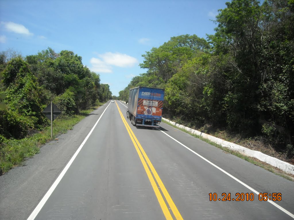 BR 242