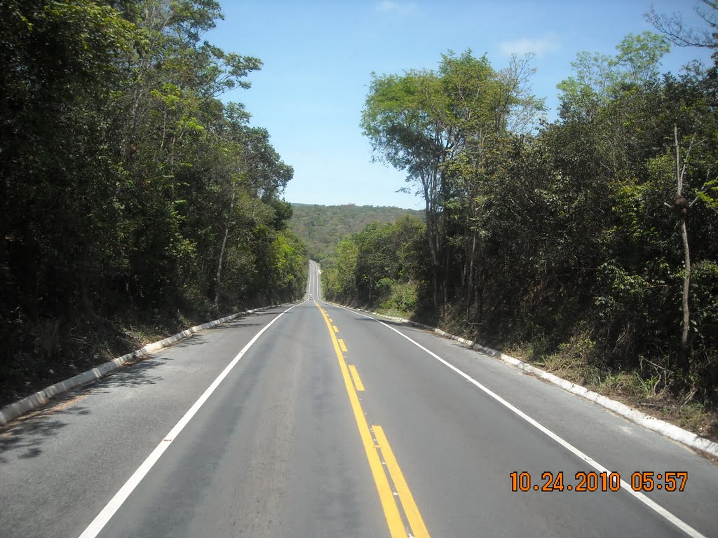 BR 242