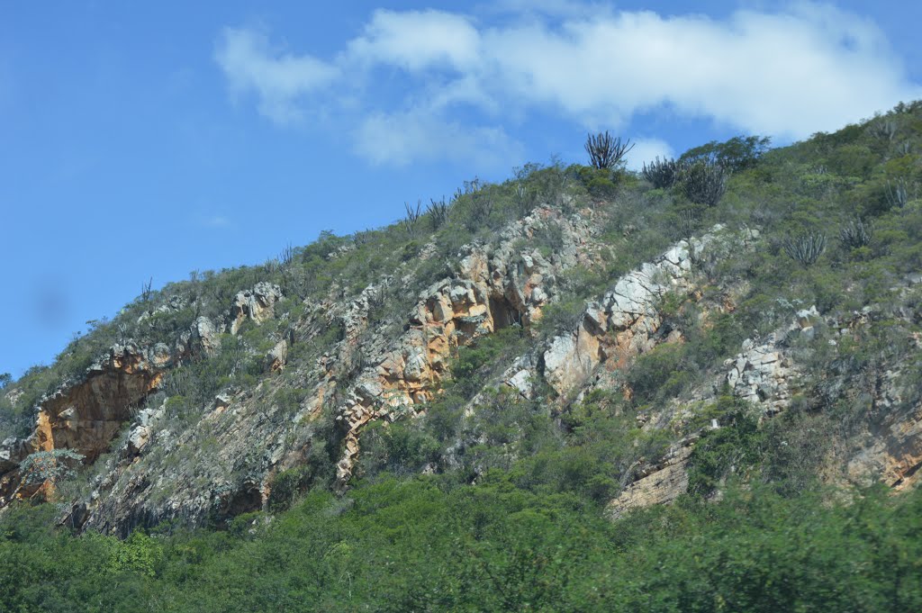 Chapada Diamantina (2013)