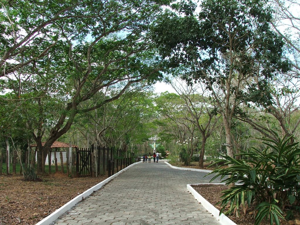 Parque Zoo Matinha