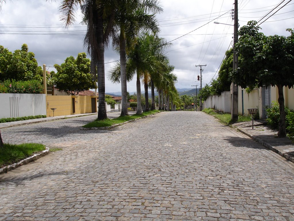 Vista parcial 03
