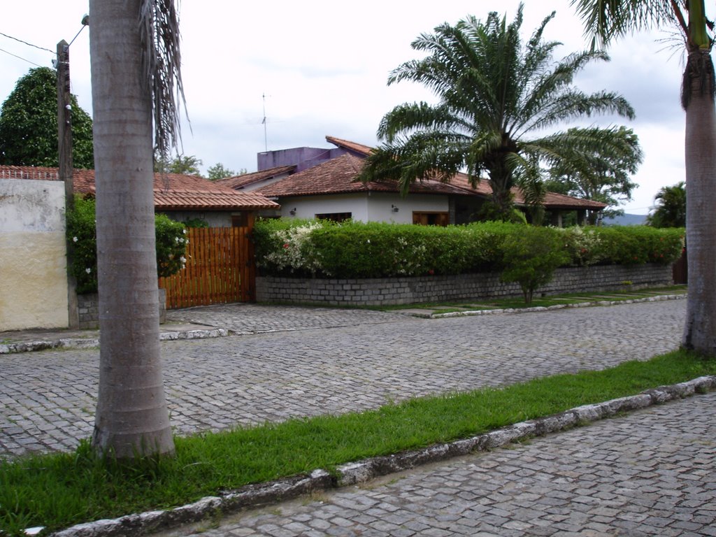 Vista parcial 04