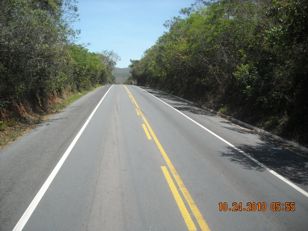 BR 242