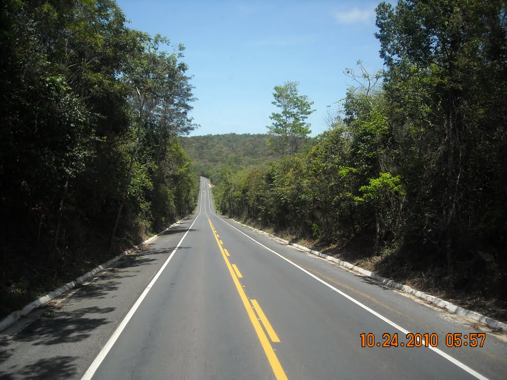 BR 242